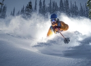 开云下载-骑士强压魔术，范弗利特成为关键先生，冷静掌控与致命一击的艺术