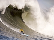 开云体育APP下载-戴维斯杯轻取法网，纳达尔高光表现背后的国家荣誉与个人传奇