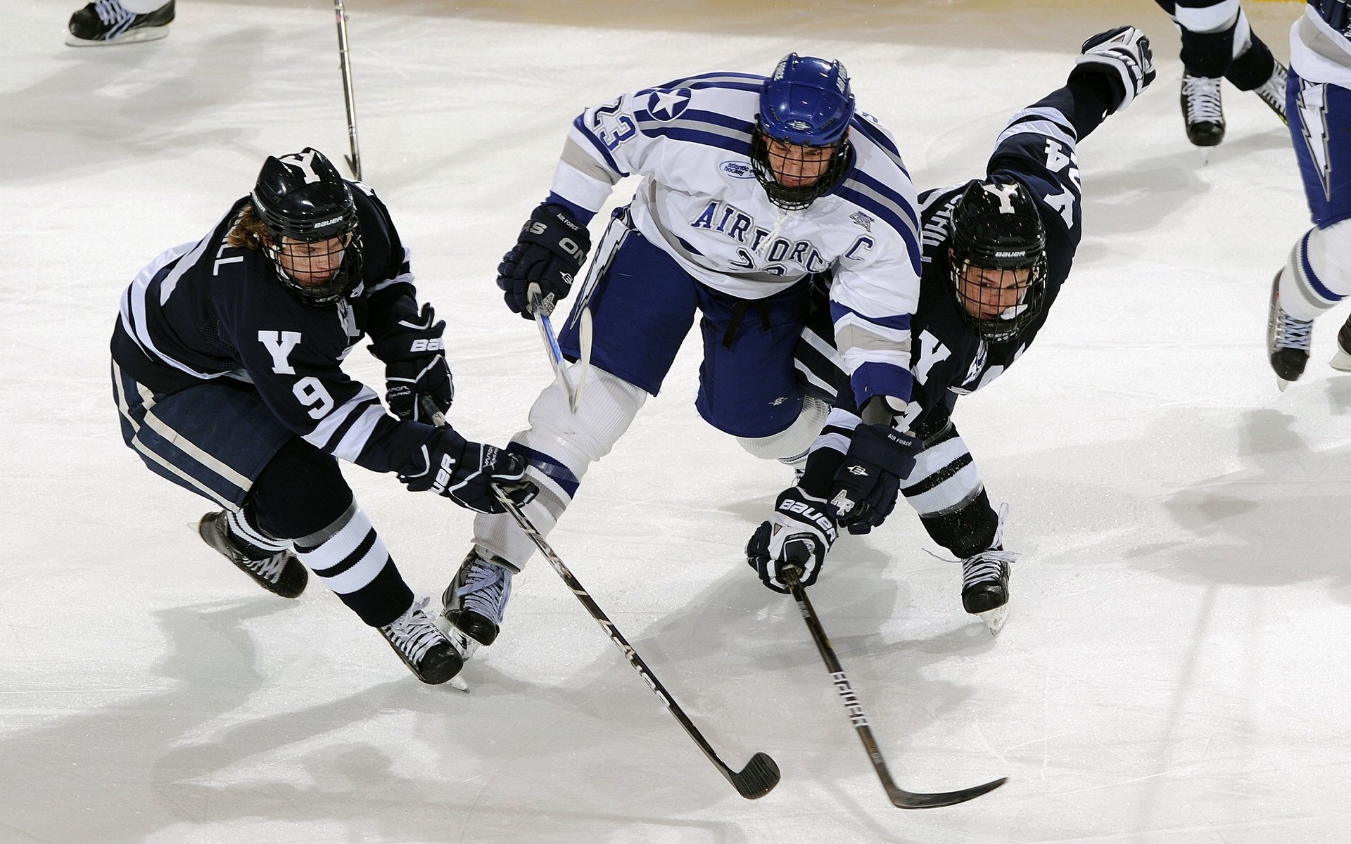 从草场到硬地,穆雷的年终总决赛统治力,为何比温网更令人震撼?